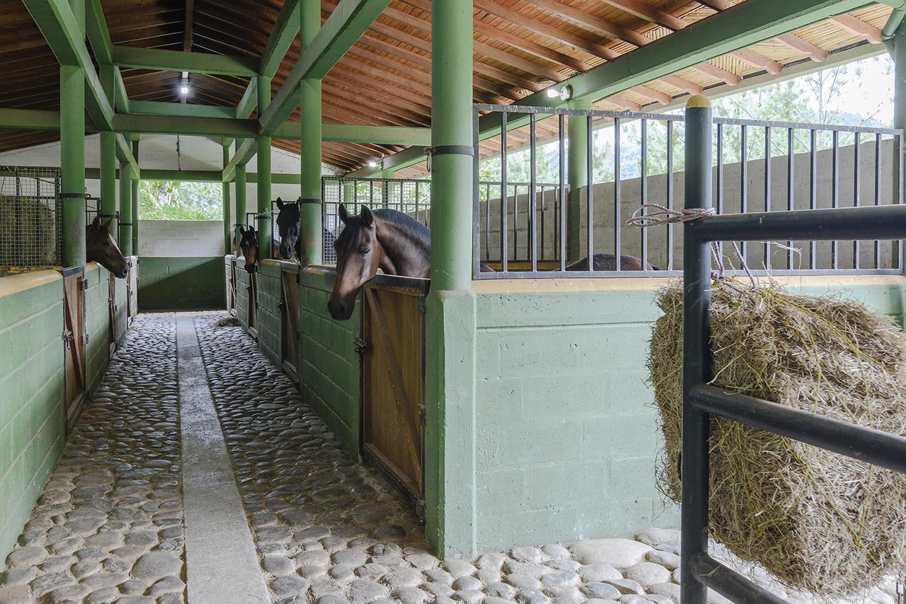 Finca Boutique El Diamante Salgar  外观 照片