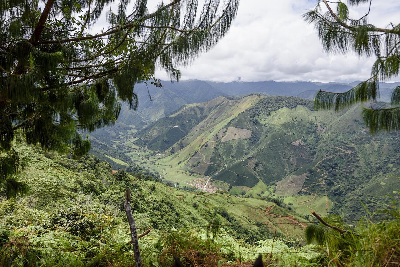 Finca Boutique El Diamante Salgar  外观 照片