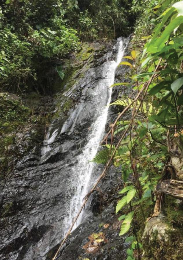 Finca Boutique El Diamante Salgar  外观 照片