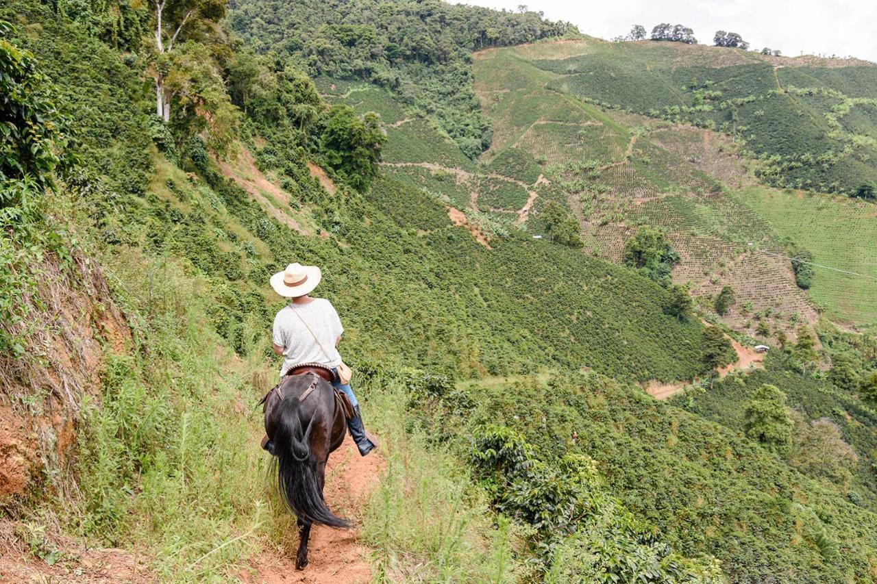Finca Boutique El Diamante Salgar  外观 照片